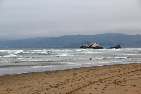 ���-���������